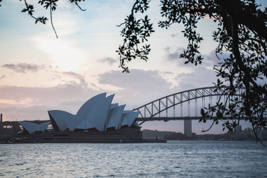 The Importance of Shed Approval: Ensuring Your Project Meets Sydney Regulations